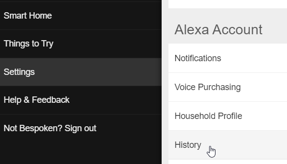 Alexa interactions history